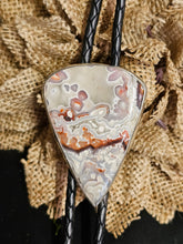 Load image into Gallery viewer, Crazy Lace Agate Bolo Tie