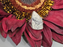 Load image into Gallery viewer, Dendritic Agate Ring