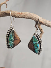 Load image into Gallery viewer, Douglas Fir & Turquoise Earrings