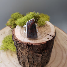 Load image into Gallery viewer, Black and Red Moss Agate Ring