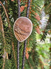 Load image into Gallery viewer, Picture Jasper Bolo Tie
