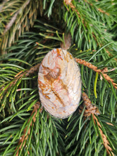 Load image into Gallery viewer, Flame Palm Root Bolo Tie
