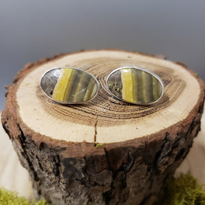 Bumblebee Stone Stud Earrings