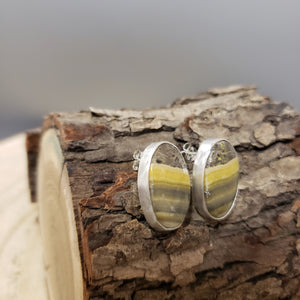 Bumblebee Stone Stud Earrings