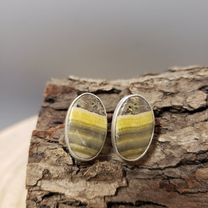 Bumblebee Stone Stud Earrings